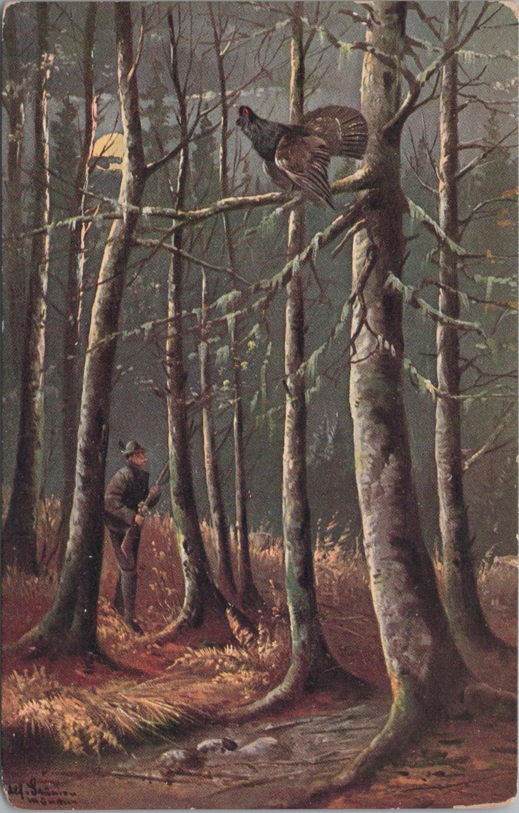 Animals Postcard - Birds, Hunting Grouse, Auerhahn-Jagd, Alfred Schönian XT1273