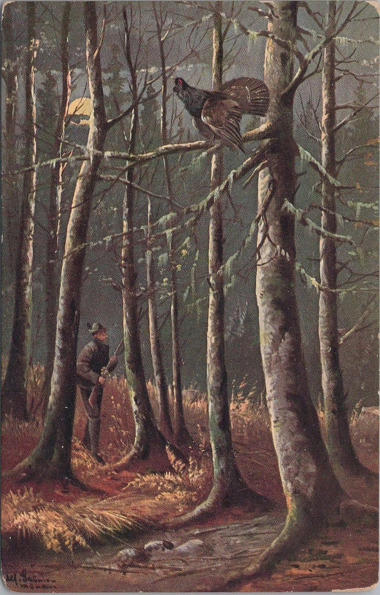 Animals Postcard - Birds, Hunting Grouse, Auerhahn-Jagd, Alfred Schönian XT1273