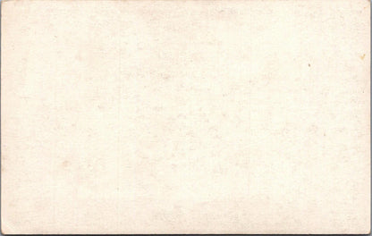 Animals Postcard - Birds, Wryneck, Capern's Bird Food  XT1274