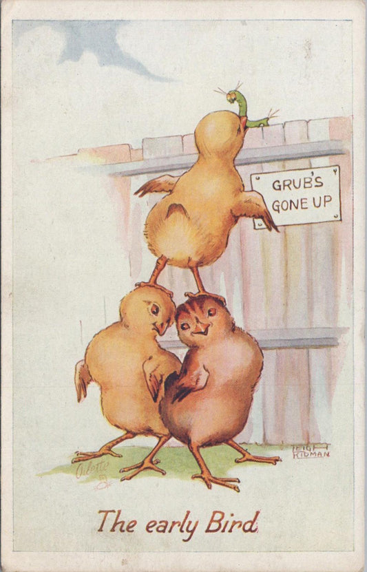 Animals Postcard - Birds, The early Bird, Artist Leigh Ridgman XT1282