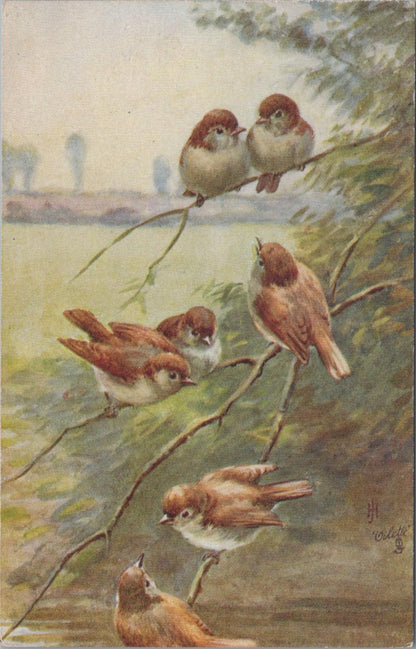 Animals Postcard - Birds, Seven Sparrows, Sweet Songsters   XT1283