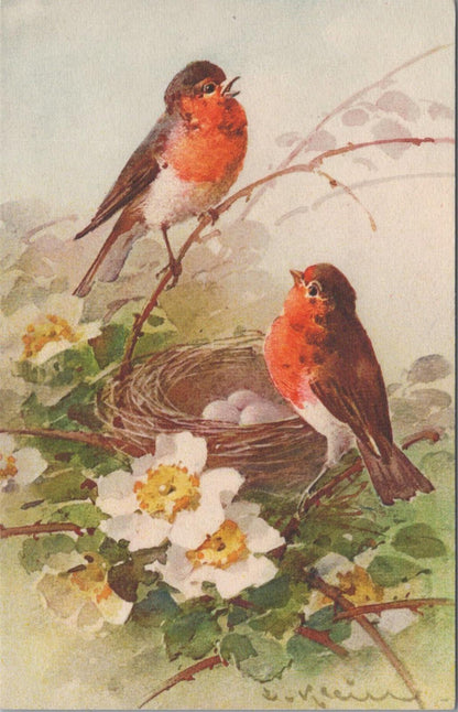 Animals Postcard - Birds, European Robins, Artist Catherine Klein  XT1285