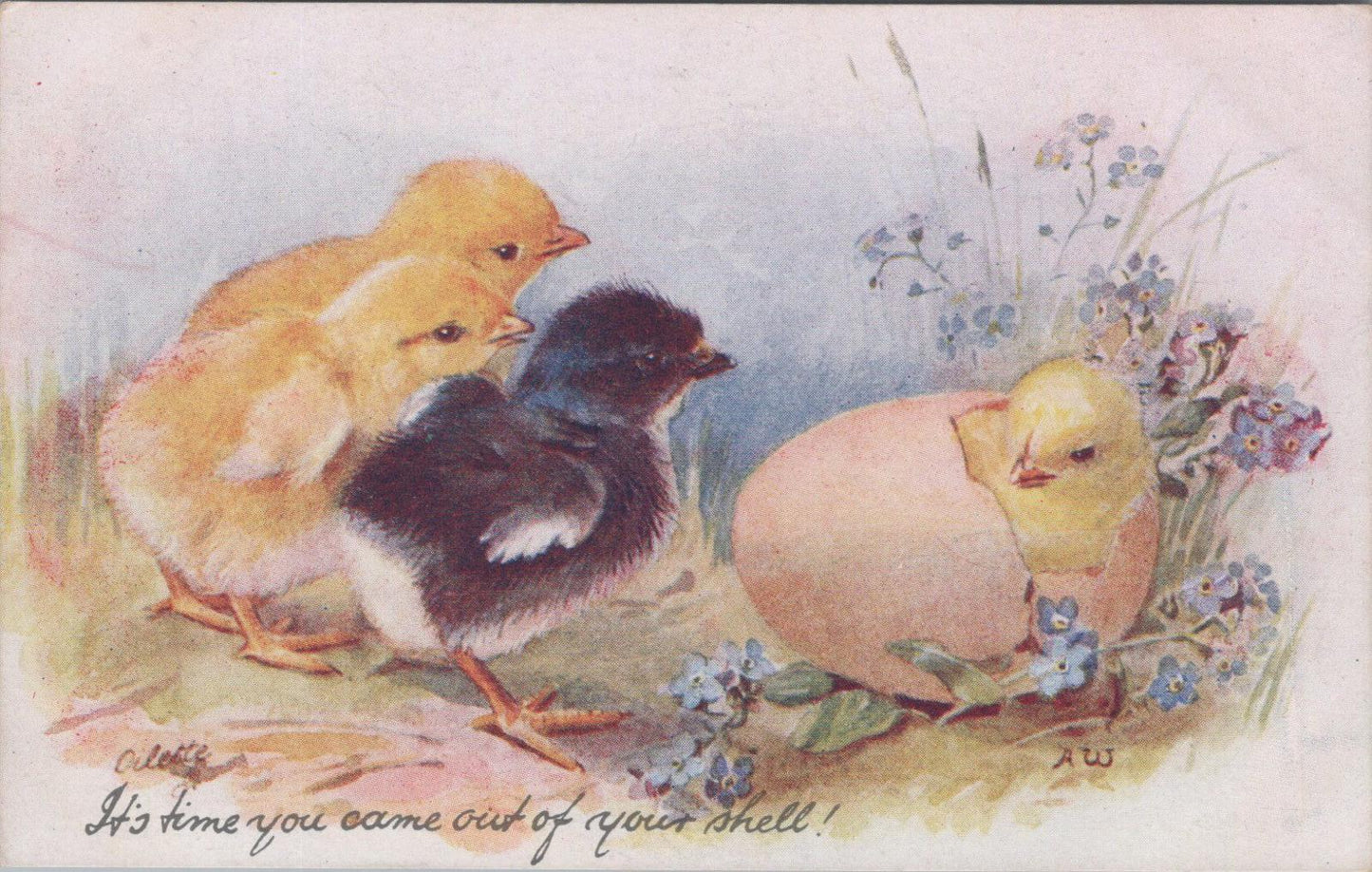 Animals Postcard - Birds, Chicks and Ducklings, Golden Fluff  XT1291