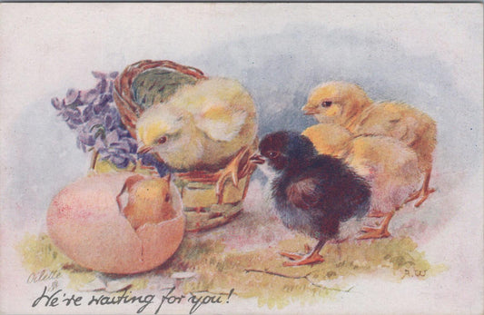 Animals Postcard - Birds, Chicks and Ducklings, Golden Fluff  XT1293