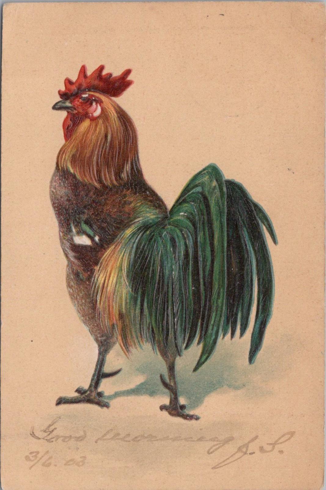 Embossed Animals Postcard - Birds, Black Red Game Cockerel   XT1300