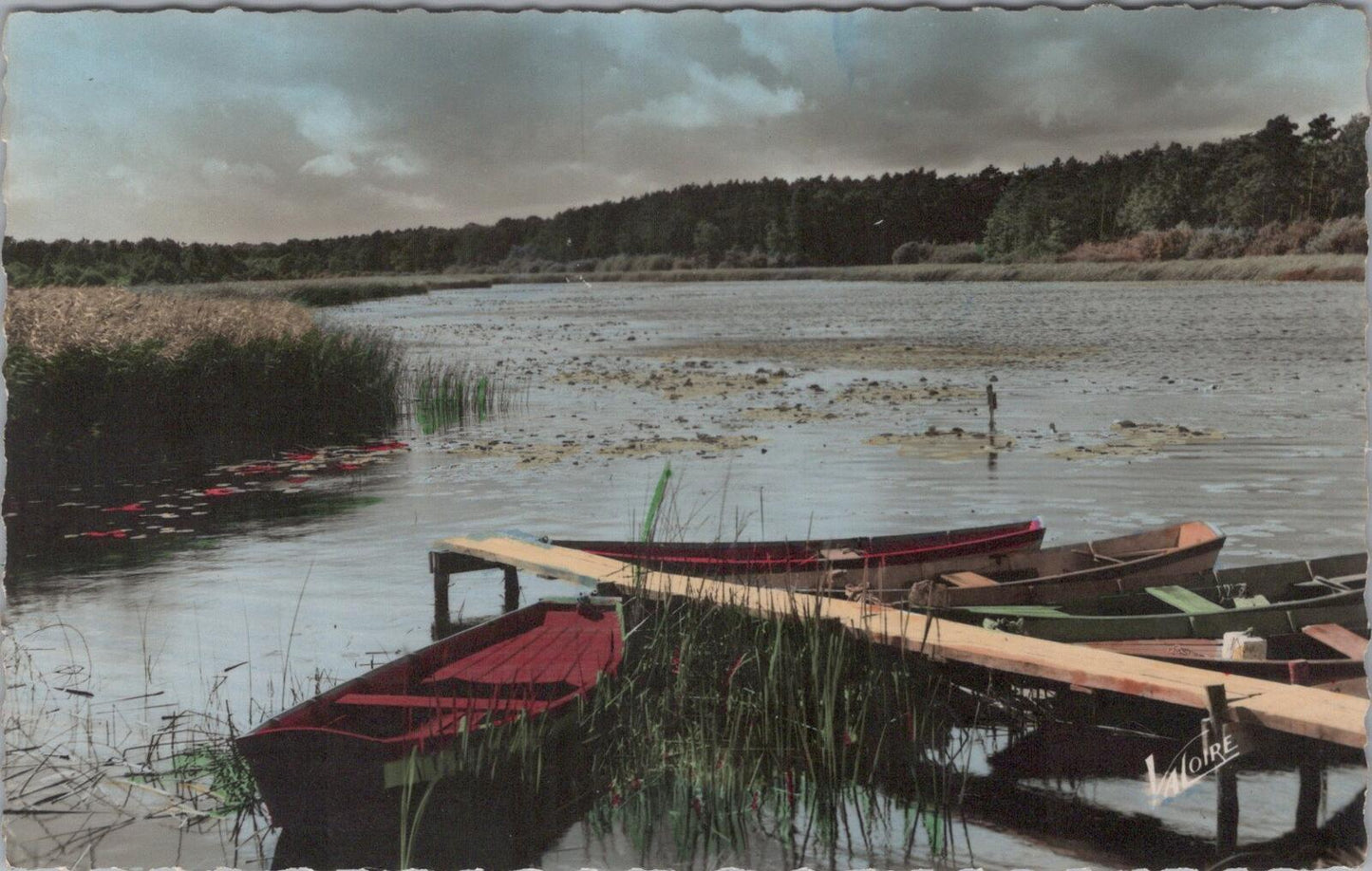 France Postcard Sologne Paysages de Sologne L'etang Valoire Blois 1960s XT2351