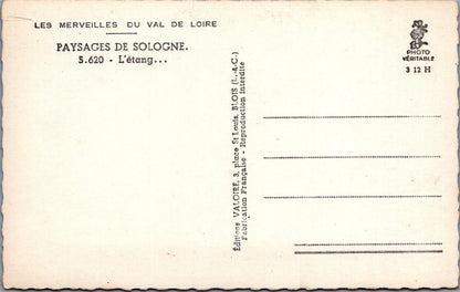France Postcard Sologne Paysages de Sologne L'etang Valoire Blois 1960s XT2351