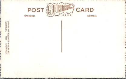 Dorset Postcard Christchurch The Quay and Priory Swans 1960s XT2356