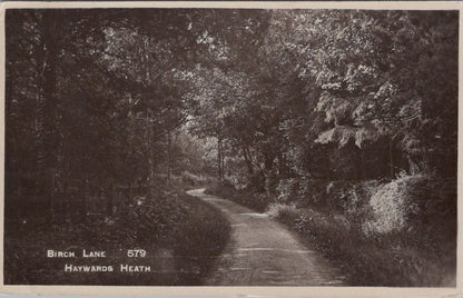 Sussex Postcard Haywards Heath Birch Lane Posted 1915 - XT2363