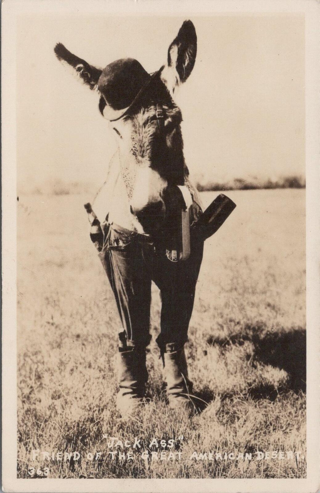 USA Postcard Jack Ass, American Desert 1943 RPPC Real Photo Comic XT2394
