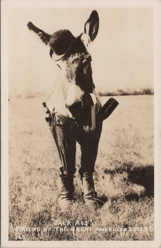 USA Postcard Jack Ass, American Desert 1943 RPPC Real Photo Comic XT2394