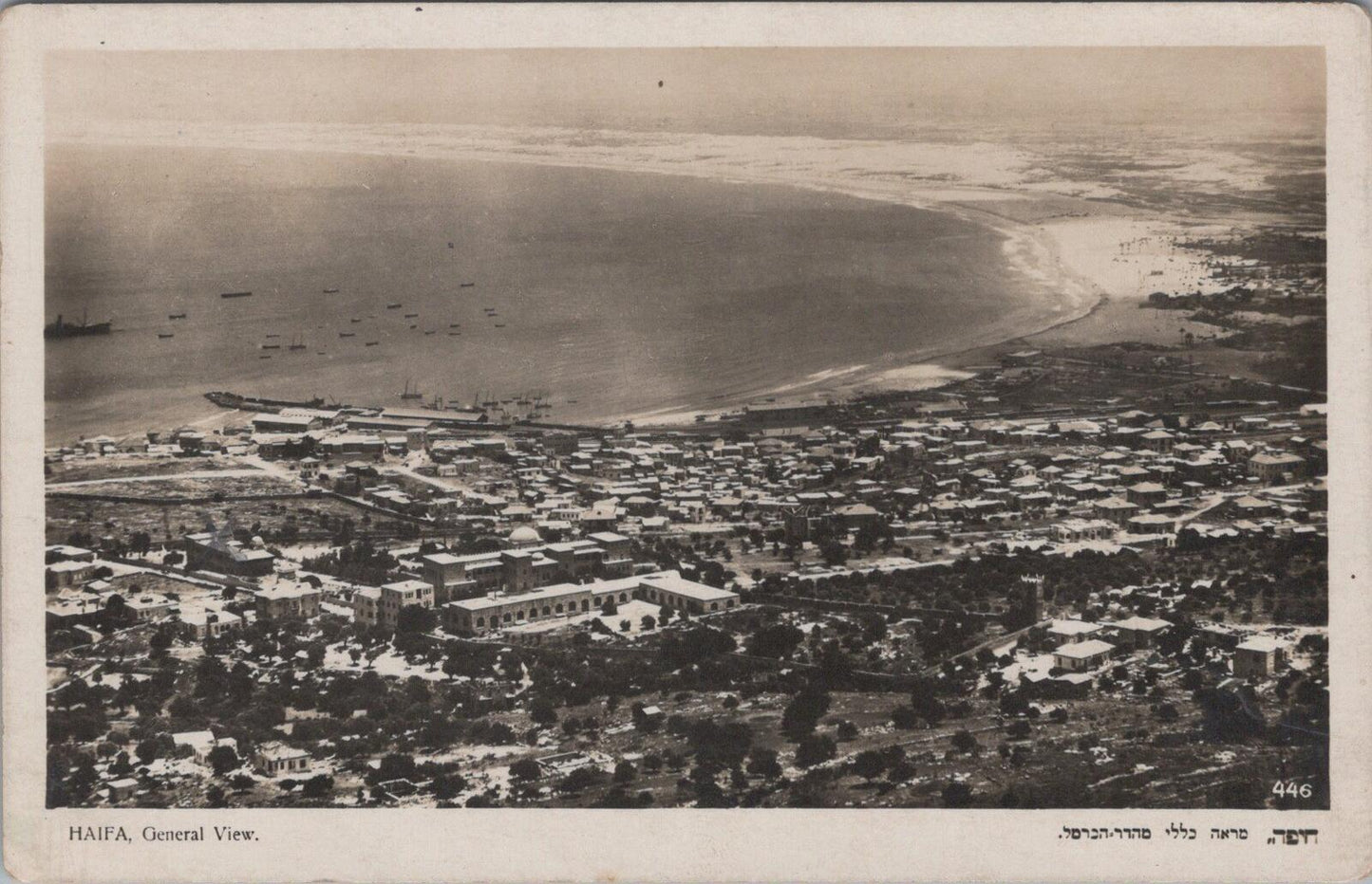Israel Postcard Haifa Bay General Aerial View Mt Carmel Palestine  XT2395