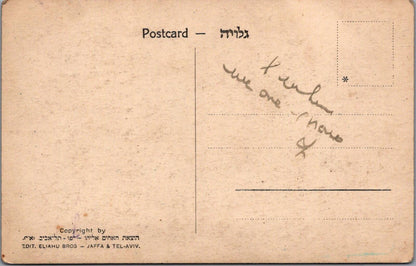 Israel Postcard Haifa Bay General Aerial View Mt Carmel Palestine  XT2395