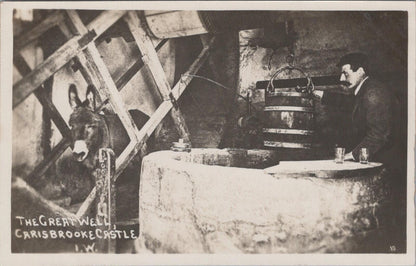 Isle of Wight Postcard: Carisbrooke Castle Great Well House Donkey  XT2820