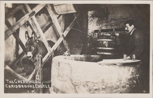 Isle of Wight Postcard: Carisbrooke Castle Great Well House Donkey  XT2820