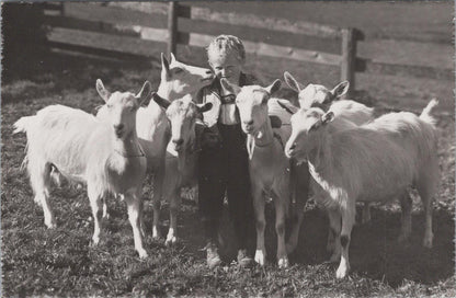 Switzerland Postcard: Young Boy In Regional Dress With Saanen Goats RPPC XT2838
