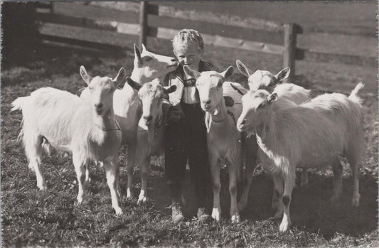 Switzerland Postcard: Young Boy In Regional Dress With Saanen Goats RPPC XT2838