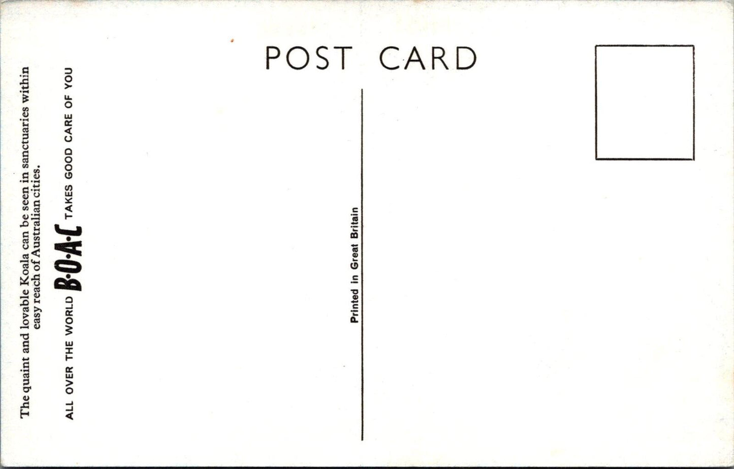 Australia Postcard: Koala Bear Wildlife Sanctuaries BOAC Airline 1950s   XT2848