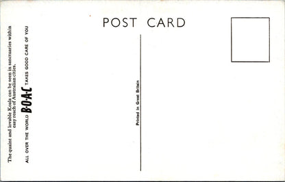 Australia Postcard: Koala Bear Wildlife Sanctuaries BOAC Airline 1950s   XT2848