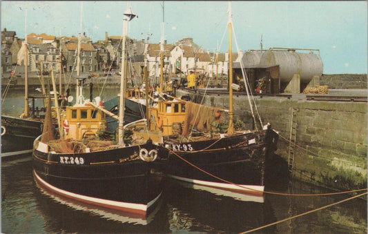 Scotland Postcard: The Fishing Harbour Pittenweem East Neuk of Fife XT2898