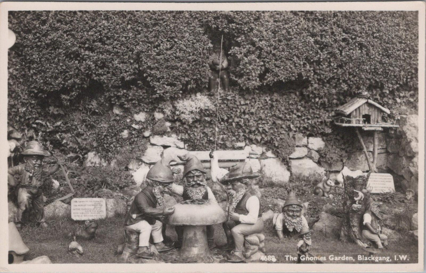 Isle of Wight Postcard - The Gnomes Garden at Blackgang Chine   XT1320