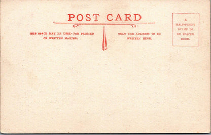 Devon Postcard - Coombe Cellars, River Teign, nr Teignmouth  XT1341
