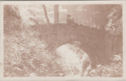 Isle of Wight Postcard - Historic Stone Bridge in Shanklin Chine  XT1351