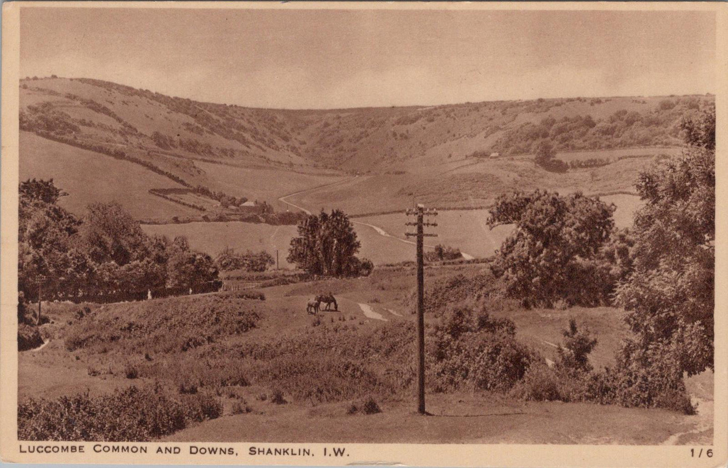 Isle of Wight Postcard - Luccombe Common and Downs in Shanklin  XT1353