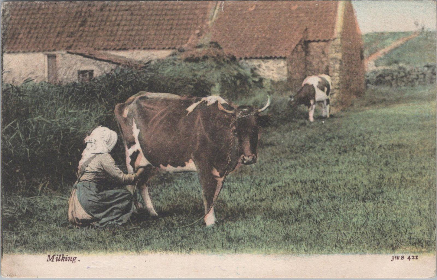 Animals Postcard - Rural Farming, Milkmaid Milking a Guernsey or Jersey Cow XT1361