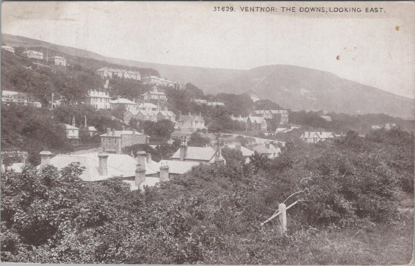 Isle of Wight Postcard: Ventnor, St Boniface Downs, Looking East XT1448