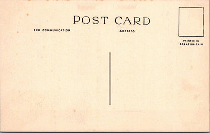 Isle of Wight Postcard: Luccombe Common, Near Ventnor  XT1451