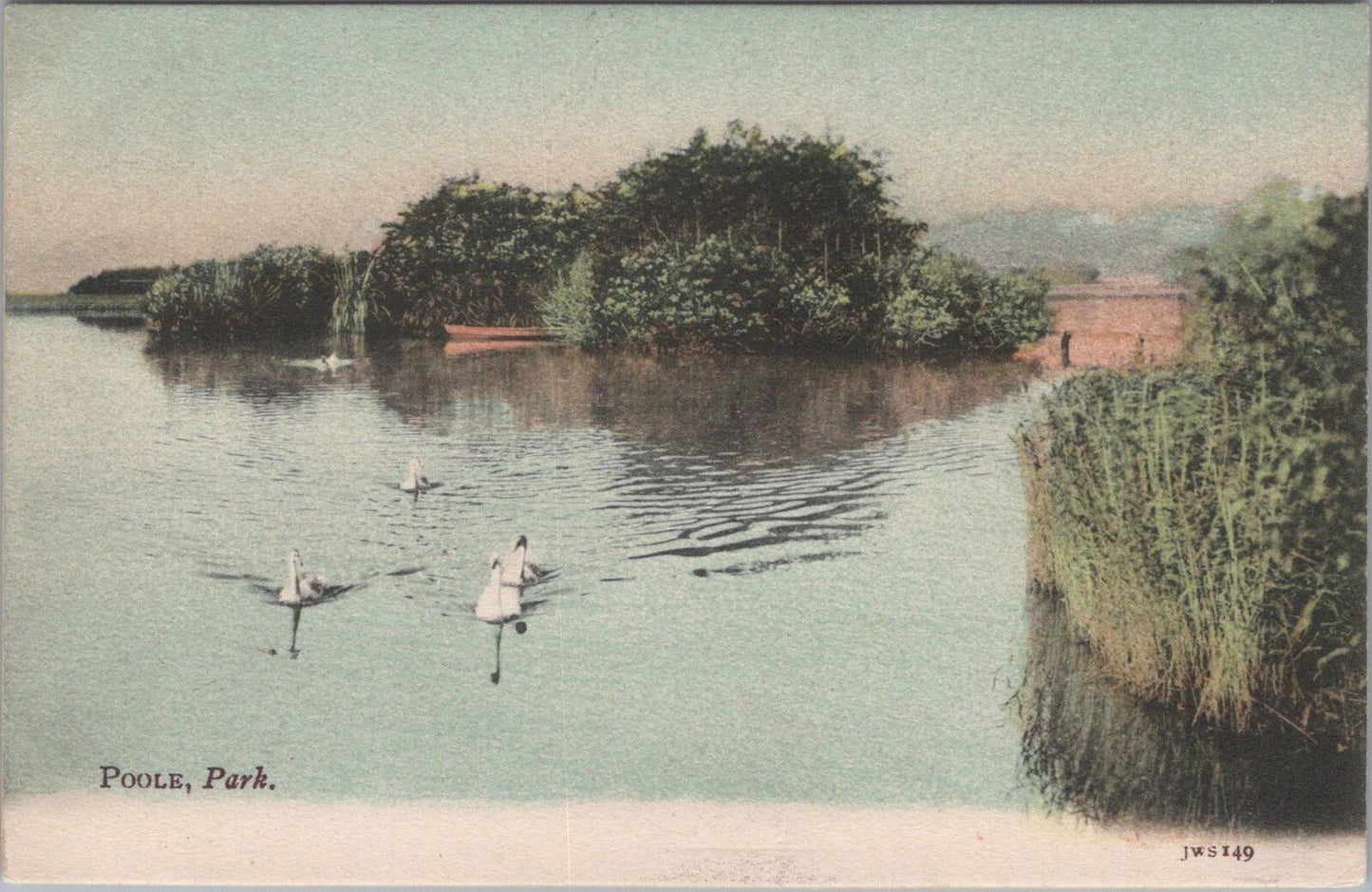 Dorset Postcard: Swans on The Lake, Poole Park. 1910's  XT1920