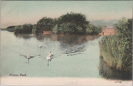 Dorset Postcard: Swans on The Lake, Poole Park. 1910's  XT1920
