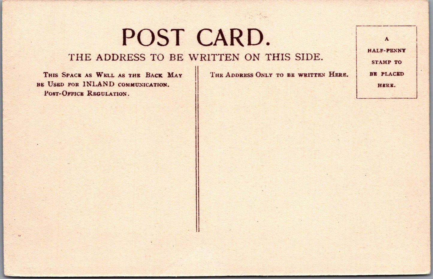 Dorset Postcard: Swans on The Lake, Poole Park. 1910's  XT1920