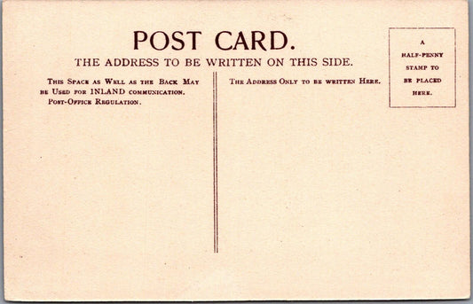 Dorset Postcard: Swans on The Lake, Poole Park. 1910's  XT1920