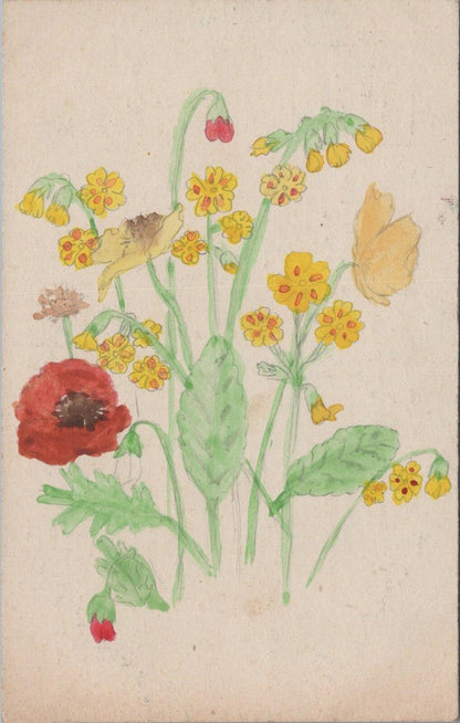 Flower Postcard:  Hand Painted Red and White Poppy, Botanical, Nature  XT1939