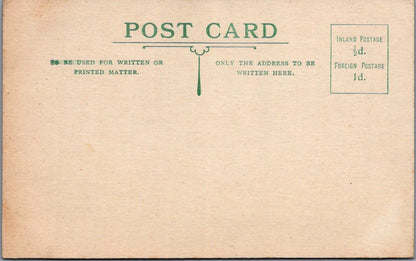 Flower Postcard:  Hand Painted Red and White Poppy, Botanical, Nature  XT1939