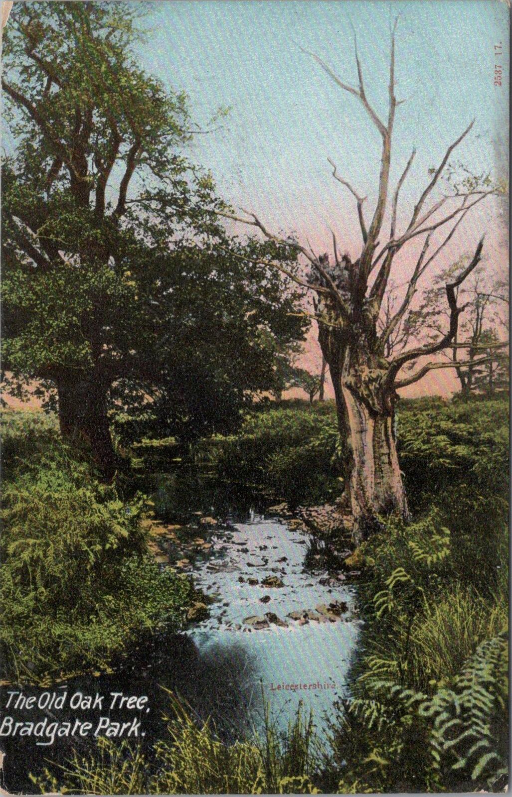 Leicestershire Postcard:The Old Oak Tree,Bradgate Park nr Newtown Linford XT1946