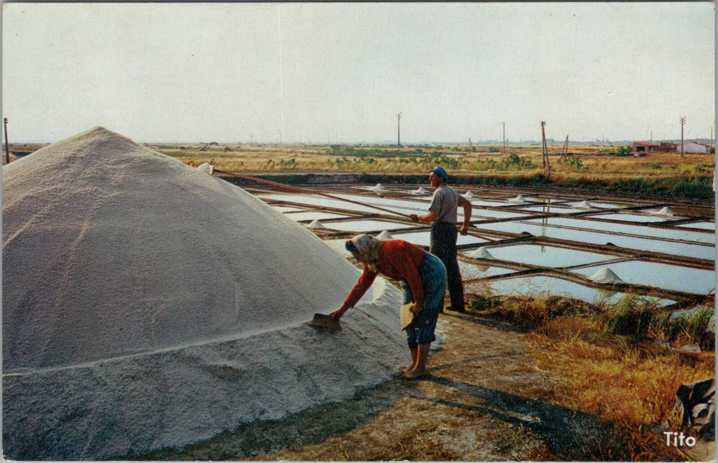 France Postcard: Ile de Ré - Marais Salants et Sauniers, Salt Marshes  XT1956