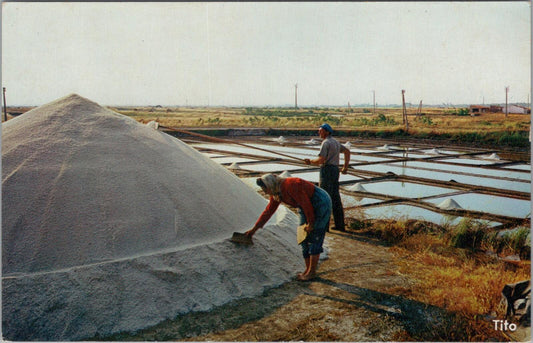France Postcard: Ile de Ré - Marais Salants et Sauniers, Salt Marshes  XT1956