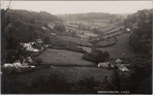 Devon Postcard: Branscombe, Panoramic Village and Valley View. 1920s XT1970