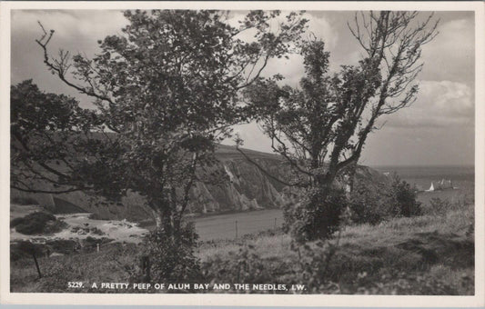Isle of Wight Postcard: A Pretty Peep of Alum Bay and The Needles XT2007