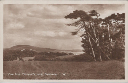 Isle of Wight Postcard: Freshwater, View from Tennyson's Lane  XT2015