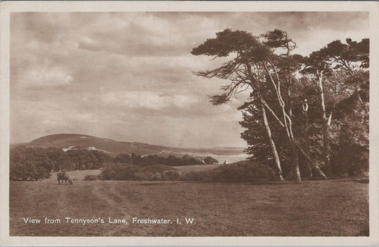 Isle of Wight Postcard: Freshwater, View from Tennyson's Lane  XT2015