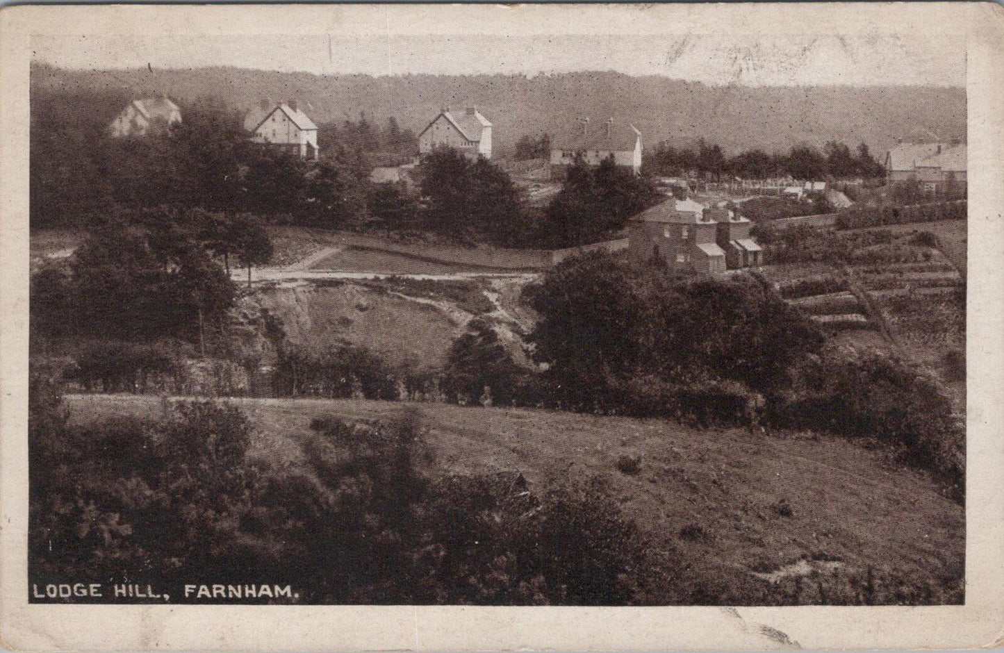 Surrey Postcard: Lodge Hill, Farnham, New Housing Development View  XT2020