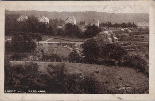 Surrey Postcard: Lodge Hill, Farnham, New Housing Development View  XT2020