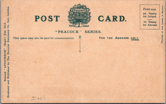 Scilly Isles Postcard: Three Lesser Black-backed Gulls King, Scilly 1910's XT2039