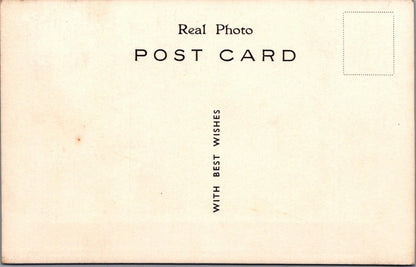 Pekingese Dogs Postcard: Trio of Pekingese Puppies, Real Photo 1930's XT2073.