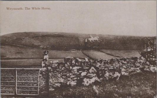 Dorset Postcard: Weymouth, The Osmington White Horse Hill Figure  XT2091