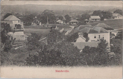 Jamaica Postcard: Mandeville Hillside View Town Panorama c1905 XT3436